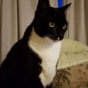 Meet your Posher, Maria